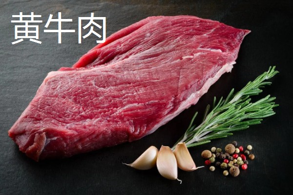 牛的消化系统，分为口腔、咽、腮腺等