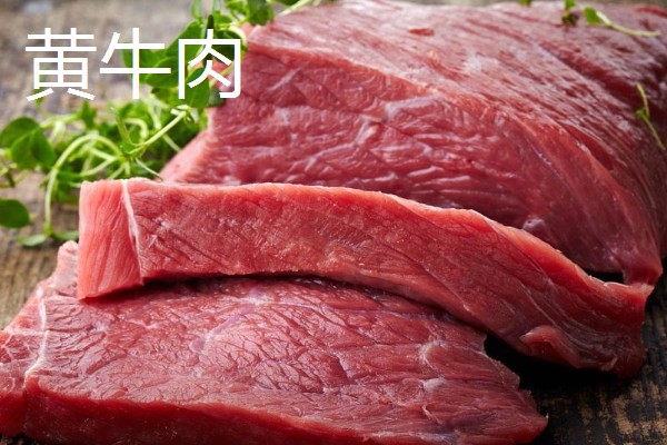 牛的消化系统，分为口腔、咽、腮腺等