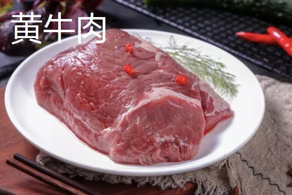 牛的消化系统，分为口腔、咽、腮腺等