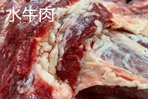 牛的消化系统，分为口腔、咽、腮腺等