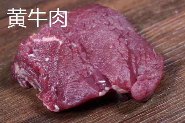 牛的消化系统，分为口腔、咽、腮腺等