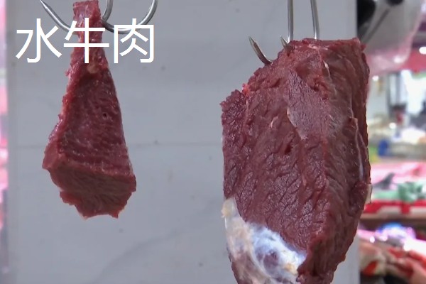 牛的消化系统，分为口腔、咽、腮腺等