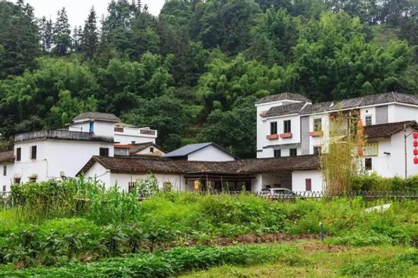 农村五十三不欠六十不借债的意思，到了60岁便不借钱