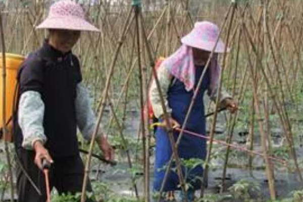 药肥合并的优势,起到了互作增效的作用