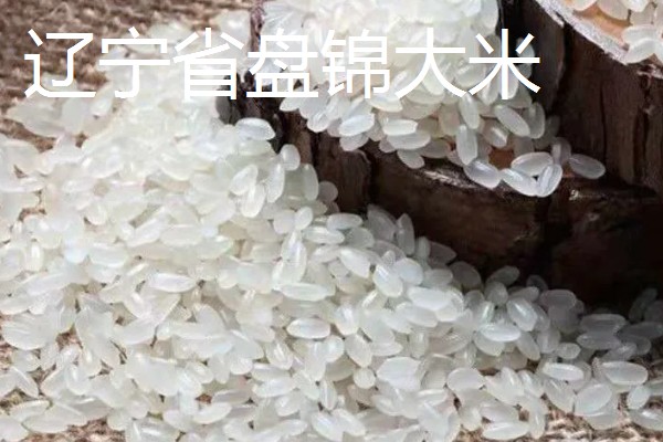 哪里产的大米好吃，推荐原阳大米、五常大米等