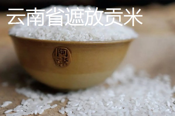 哪里产的大米好吃，推荐原阳大米、五常大米等