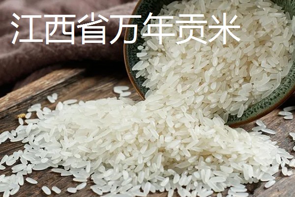 哪里产的大米好吃，推荐原阳大米、五常大米等