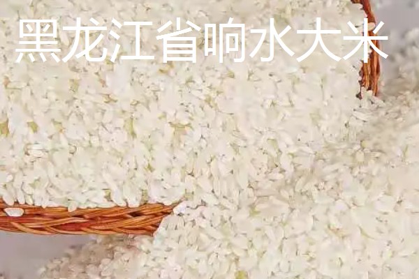 哪里产的大米好吃，推荐原阳大米、五常大米等