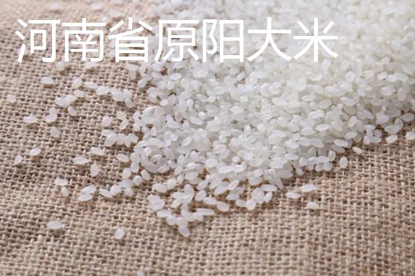 哪里产的大米好吃，推荐原阳大米、五常大米等