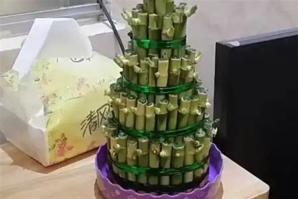 怎么养宝塔竹,通常使用水培的方式