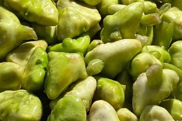浙江嘉兴海盐县的特产，藕粉饺是消夏佳品
