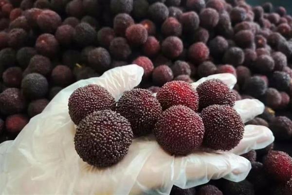 浙江嘉兴海盐县的特产，藕粉饺是消夏佳品