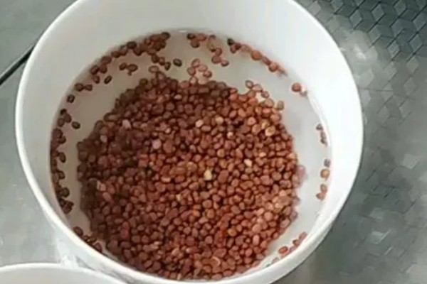 夏天能种油麦菜吗,一般春秋两季露天种植