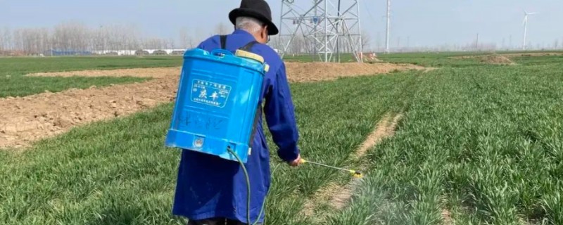 麦田除草剂有什么作用，抑制杂草的光合作用并致死