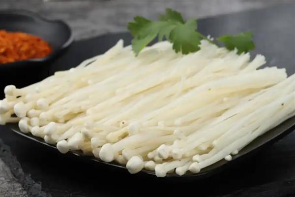 食用菌的制种简化革新法,以马铃薯、葡萄糖等为原料