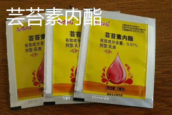 有什么应用在农业中的生长调节剂，常见复硝酚钠、芸苔素内酯等药物