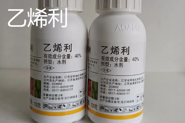 有什么应用在农业中的生长调节剂，常见复硝酚钠、芸苔素内酯等药物