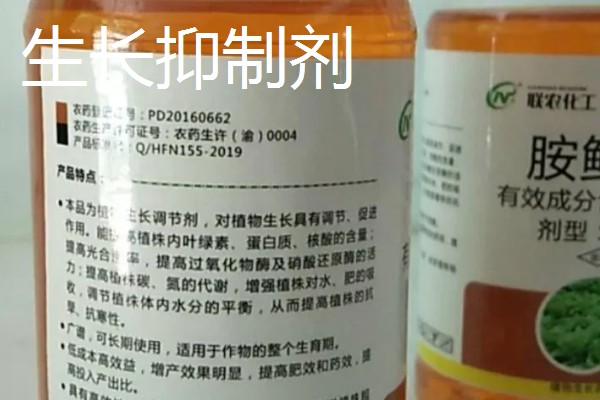 有什么应用在农业中的生长调节剂，常见复硝酚钠、芸苔素内酯等药物