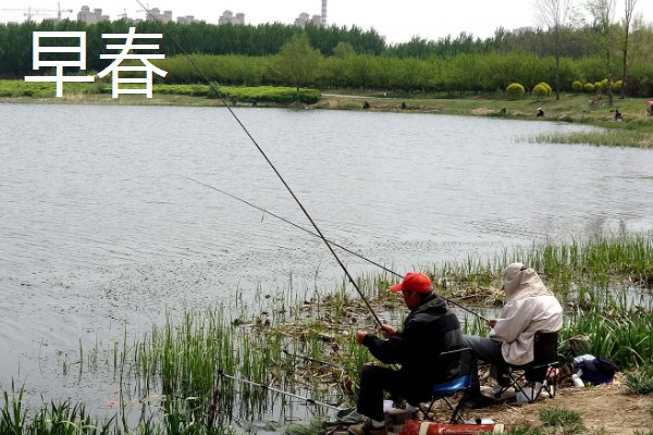 春季钓鲤鱼选择什么位置，早春选在回水湾、深潭