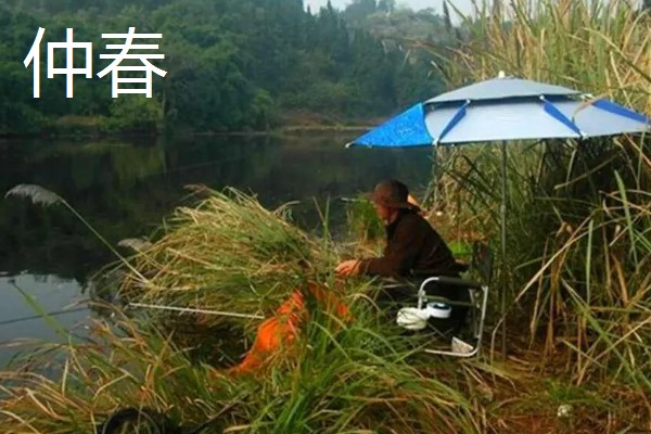 春季钓鲤鱼选择什么位置，早春选在回水湾、深潭