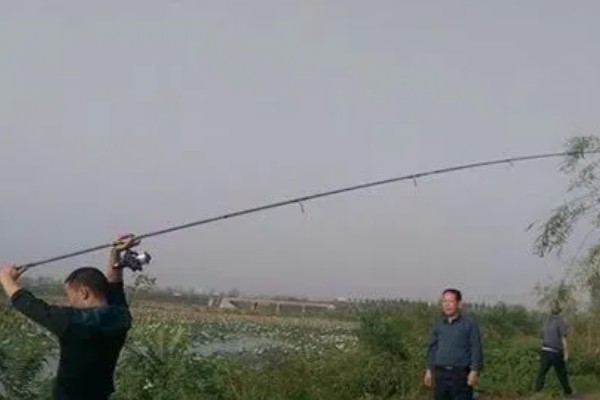 春季钓鲤鱼选择什么位置，早春选在回水湾、深潭