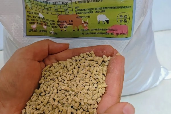 羊颗粒饲料怎么搭配,用玉米、棉籽粕等原料配制