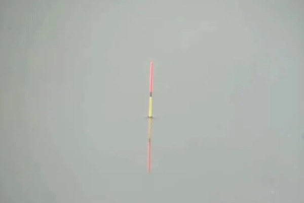 鱼漂吃铅2.36克是什么意思，指的是吃铅量为2.36克
