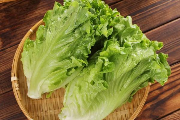 11月份适合种哪些菜,可选择小白菜、西芹等品种