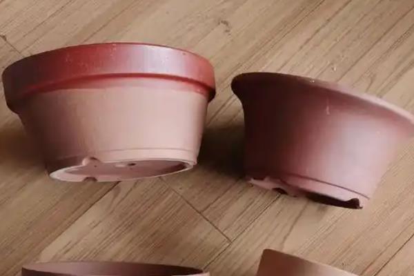 养殖兰花使用什么花盆，泥瓦盆、塑料盆、陶盆、紫砂盆均可使用