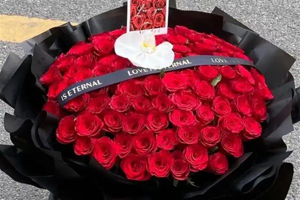 红玫瑰的寓意,代表幸福的爱情、燃烧的热情等含义