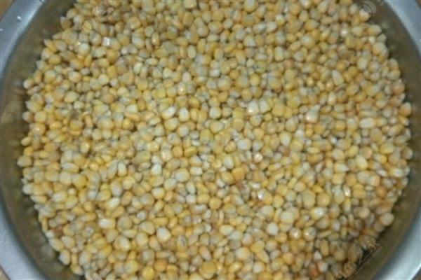 玉米播种要注意什么，种植地要远离工矿区和公路