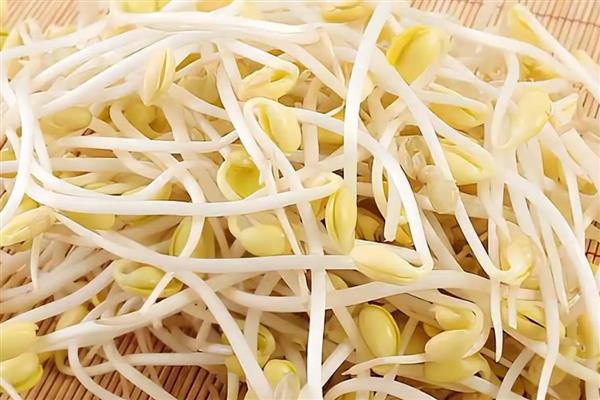 哪些瓜果蔬菜适合懒人种植,可选择韭菜、芦笋、豆芽等品种