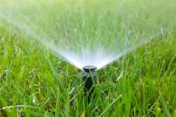 怎么使用植物细胞分裂素，使用方法包括叶面喷施、根部冲施、局部点涂