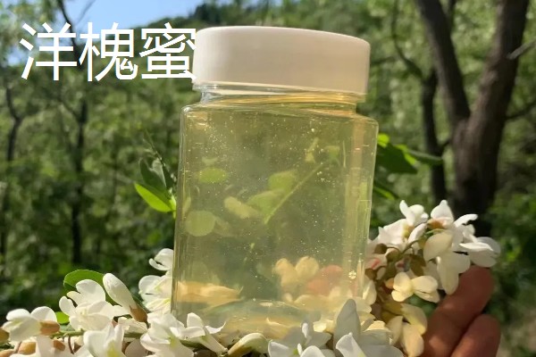 洋槐蜜和槐花蜜有什么区别,只是同一种蜂蜜的不同叫法