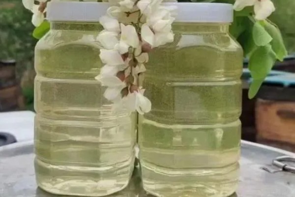 洋槐蜜和槐花蜜有什么区别,只是同一种蜂蜜的不同叫法