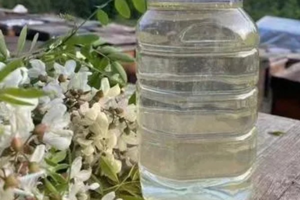 洋槐蜜和槐花蜜有什么区别,只是同一种蜂蜜的不同叫法