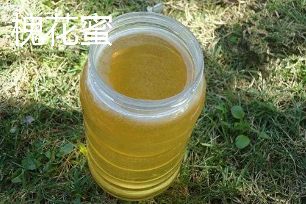 洋槐蜜和槐花蜜有什么区别,只是同一种蜂蜜的不同叫法