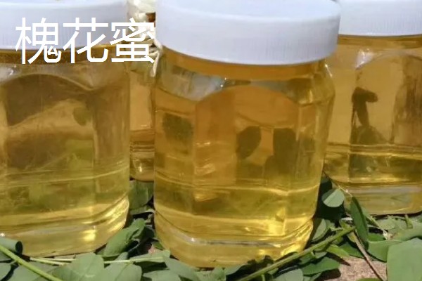 洋槐蜜和槐花蜜有什么区别,只是同一种蜂蜜的不同叫法