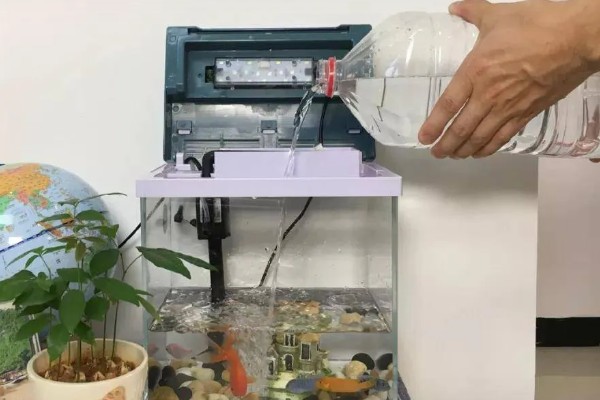 让鱼缸长绿苔的方法,提供光照并确保营养充足