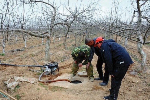 山地苹果园怎么灌溉,将肥料溶在水中每株灌溉20公斤