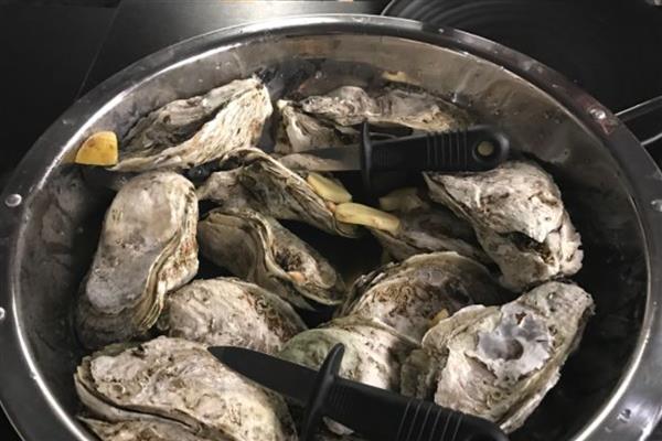 有什么好吃的生蚝,法国白珍珠、熊本生蚝等品种口感好