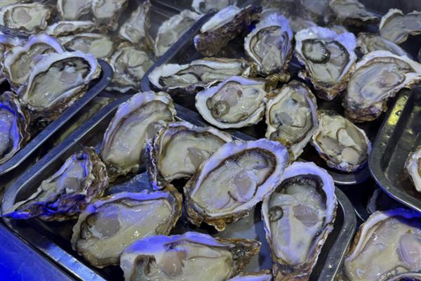 有什么好吃的生蚝,法国白珍珠、熊本生蚝等品种口感好
