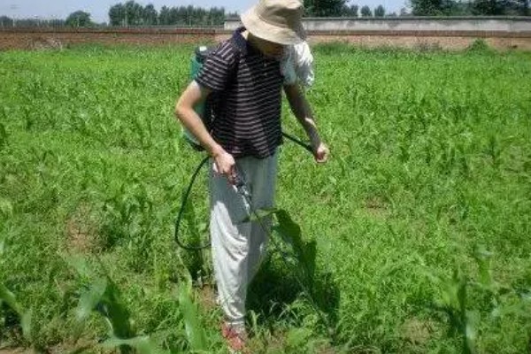 草甘膦和草铵膦有什么区别,草铵膦的见效速度更快