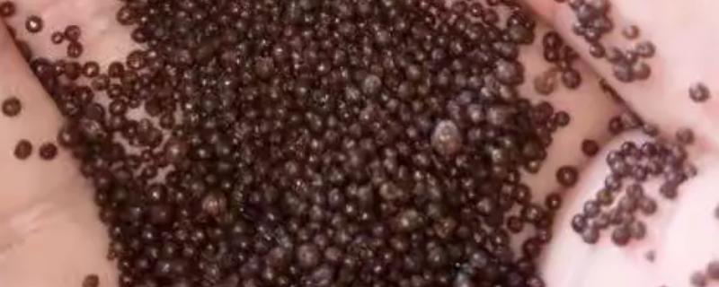 黑尿素的简介，是一种黑色锌腐酸尿素