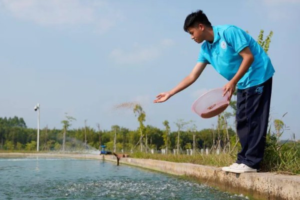鲥鱼怎么养殖,水深保持在1.5米左右