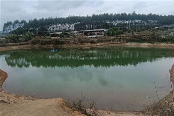 笋壳鱼的养殖前景,目前来看前景十分广阔