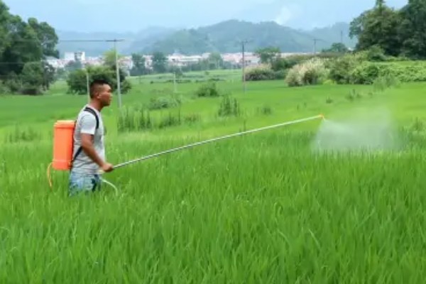 灭草松怎么使用，以兑水喷雾为主