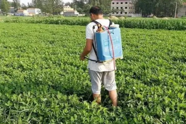 灭草松怎么使用，以兑水喷雾为主