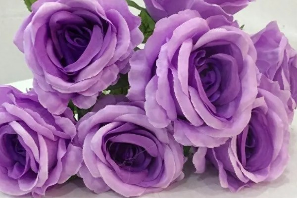 橙色玫瑰花有什么花语，代表沉默的爱、温馨温暖等含义
