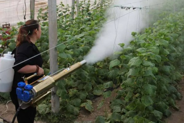 大棚蔬菜简易种植方法，将温度控制在18-25℃